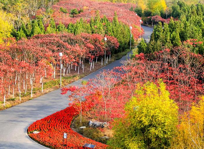 北京奥林匹克公园